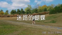 超清1080p无水印-天籁天 - 迷路的蝴蝶（DJheap九天版）写真美女dj视频下载