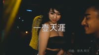 超清1080p无水印-王琪、欣宝儿 - 一壶天涯(DJ沈念版)夜店车载MV高清Mp4