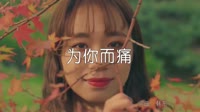 超清1080p无水印-王小米 - 为你而痛 (DJ何鹏版)写真车载MV高清Mp4