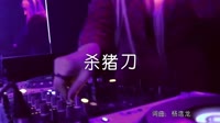 超清MV无水印-杨浩龙-杀猪刀(DJ何鹏版)夜店超清音乐MV