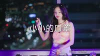 超清1080p无水印-刘悠然 - 小小的口罩 (DJ沈念版)打碟现场美女dj视频下载