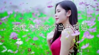 超清MV-小琢 - 老虎不发威你当我病猫 (DJ苏平版)写真美女DJ视频下载