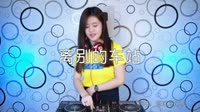 超清MV-赵薇-离别的车站（凌源DJ小柳 Electro Mix 2K21弹 私货）打碟美女MV音乐视频
