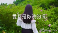 超清MV-赵洋 - 爱我是你说的谎 (DJ伟然版)户外美女超清音乐MV