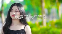 超清MV-月下思故人、红蔷薇 - 别忘了我在等你 (dj晓朋)户外美女MV音乐视频
