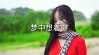 超清1080p无水印-门丽 - 梦中想着你 (DJ小刚版)户外美女dj视频下载