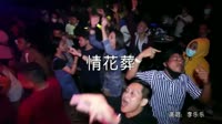超清1080p无水印-李乐乐 - 情花葬 (DJ沈念版)夜店美女车载dj视频