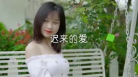 超清MV-卓依婷 - 迟来的爱_DJ欧东Mix2020Electro户外美女车载dj视频