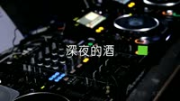 超清1080p无水印-大欢 - 深夜的酒(DJ沈念版)夜店美女车载视频