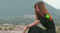 抖音热播-刘惜君vs王赫野-大风吹-DJ版打碟美女车载DJ视频