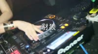 草原摩登小姐妹-豺狼(DJ沈念版)夜店美女车载DJ视频