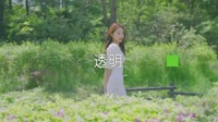 邓紫棋 透明DJXtong 小桐 2020 Remix户外美女车载视频