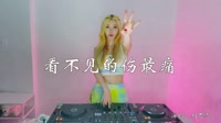 刘思岑-看不见的伤最痛(DJ唐僧版)打碟美女dj视频