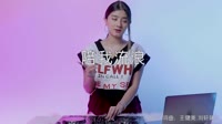 赵鑫 - 陪我流浪 (DJ沈念版)美女打碟车载dj视频