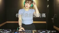 陈瑞-崔伟立-你是我永远的痛 (DJ何鹏版)美女现场打碟车载DJ视频