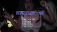 何鹏 _ 慧琳 _ 阿星 - 你离开的那一夜 (DJ版)夜店美女现场dj视频下载