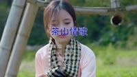 杨钰莹-茶山情歌（DJJoan remix）写真车载dj视频