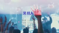 DJ小鱼儿 - 黑桃A（Extended)夜店美女dj视频