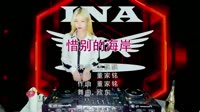 龙飘飘 - 惜别的海岸_DJ欧东Mix2020Electro经典重现打碟车载DJ视频