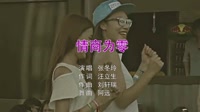 张冬玲-情商为零dj阿远 2018 Extended Mix现场夜店车载dj视频
