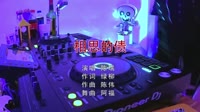 陈瑞 - 相思的债 (DJ阿福 2016 Remix)美女打碟dj视频