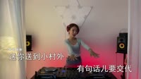 朱美璇 - 路边的野花不要采 (DJ伟然版)美女现场打碟车载dj视频