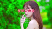 Avi-mp4-乔玲儿-爱得太卑微(DJ伟伟版)美女户外宝宝歌曲下载