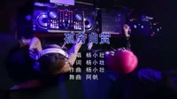 Avi-mp4-杨小壮 - 孤芳自赏 - DJ阿帆（ProgHouse 2K21弹）美女夜店dj视频下载