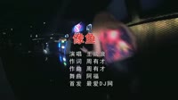 Avi-mp4-王贰浪 像鱼(DJ阿福 ProgHouse Mix )夜店美女dj视频
