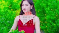 Avi-mp4-林小柯 - 尘埃 (DJ.Yu Remix)美女户外车载视频