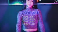 Avi-mp4-赵传 沉默的羔羊 2015DJCandy Mix美女打碟车载DJ视频