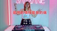 Avi-mp4-王小叶-最热的情换最狠的痛(DJ大金 Funky Mix 国语女)美女打碟车载视频