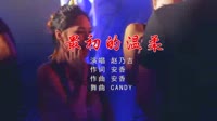 Avi-mp4-赵乃吉-最初的温柔(DjCandy Dance Rmx 2015 弹) 夜店美女车载音乐500首下载