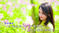 Avi-mp4-纪伟 - 情难渡 (DJ版)美女户外dj视频下载
