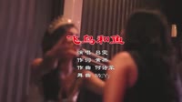 Avi-mp4-吕雯 - 飞鸟和鱼 (McYy Remix )美女夜店车载dj视频