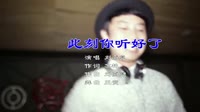 Avi-mp4-刘嘉亮_此刻你听好了(DJ王贺 Extended Mix)美女夜店车载dj视频