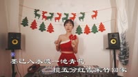 Avi-mp4-刘珂矣 - 半壶纱 (DJ阿福 Progressive House Remix)美女圣诞节现场打碟