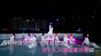 Avi-mp4-乐姐(乐乐)-天亮以后说分手(DJR7版)美女热舞车载视频