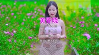 Avi-mp4-王心凌 黄昏晓 (McYy Remix 国语女)美女写真dj视频