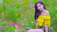 Avi-mp4-谢安琪 - 逝去日子(Dj贺仔 Krk Studio Rmx 2018)美女户外dj视频下载