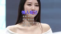 Avi-mp4-叶倩文 - 情人知己(Dj贺仔 Krk Studio Rmx 2019)漂亮美女车模dj视频下载
