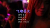 Avi-mp4-王键《飞蛾扑火》(DJcandy+MiX)夜店美女dj视频下载
