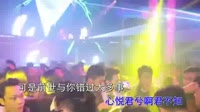 郑鱼 - 怎叹 (DJ沈念版)夜店美女车载dj视频