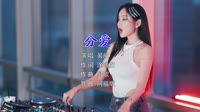 Avi-mp4-易欣 - 分爱 (Remix)(DJ阿福版)小姐姐打碟dj视频