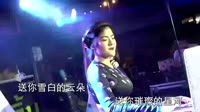Avi-mp4-海来阿木 - 来跳舞 (中文版)打碟美女车载dj视频