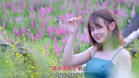 超清1080p-迈兮 - 彼岸花开无人归 (DJEva版)漂亮美女车载MV高清Mp4