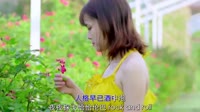 Avi-mp4-刘晓超 - 舞女泪 (DJ默涵版)美女dj视频现场高清