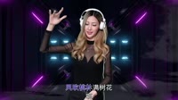 Avi-mp4-R7 - 广西桃花运 (DJR7版)美女打碟抖音神曲视频