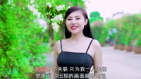 雪二 - 渐冷 (DJ沈念版)美女车载导航MV高清中文DJ视频