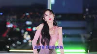张伟进-猴哥(DJR7Remix)韩国美眉打碟车载视频